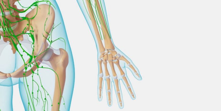 lymph nodes in arm lymph nodes in arm