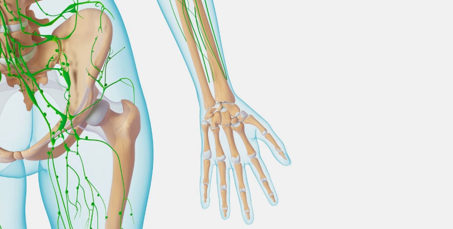 Swollen Lymph Nodes Behind Knee